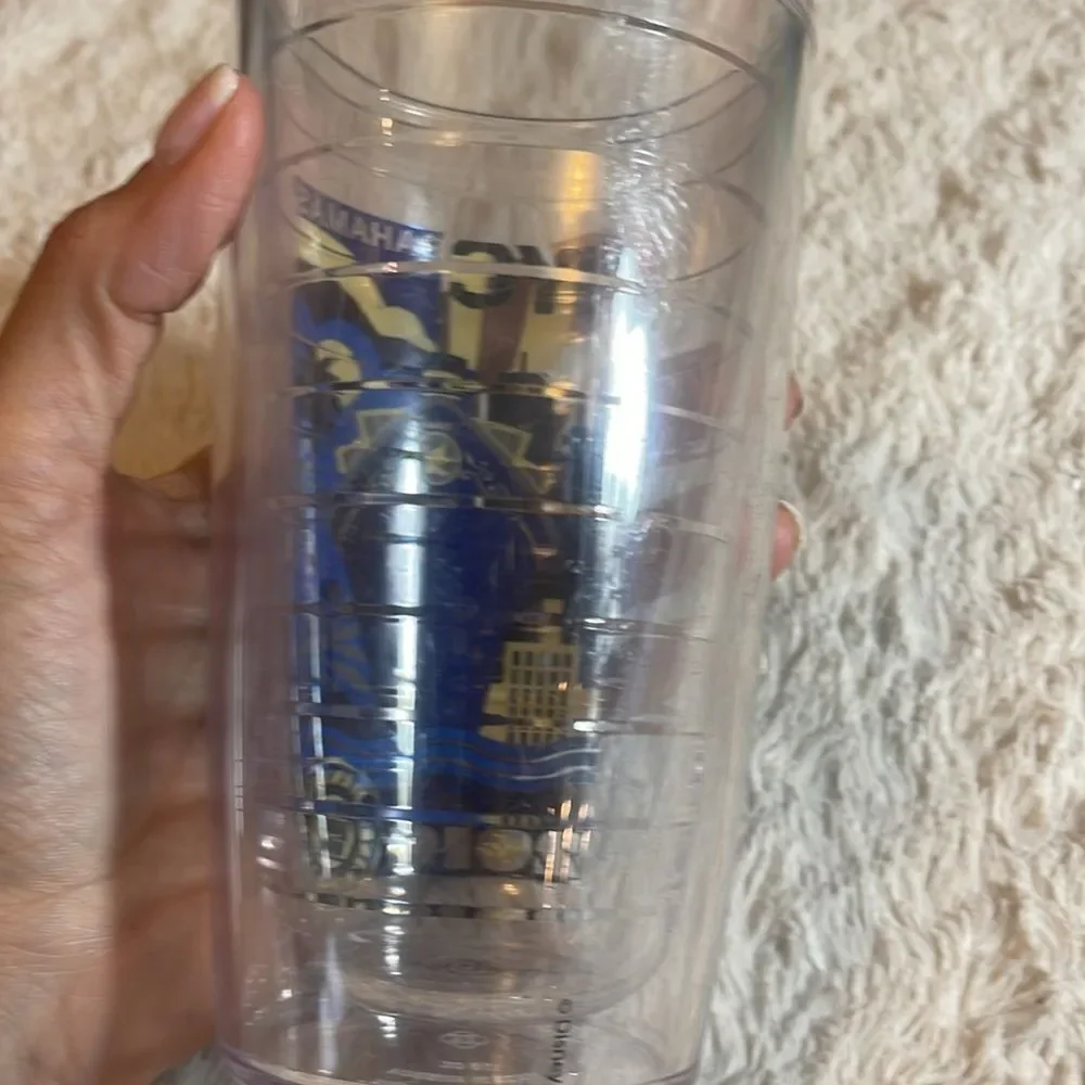 Disney cruise line 2016 tervis 16 ounce Tumbler